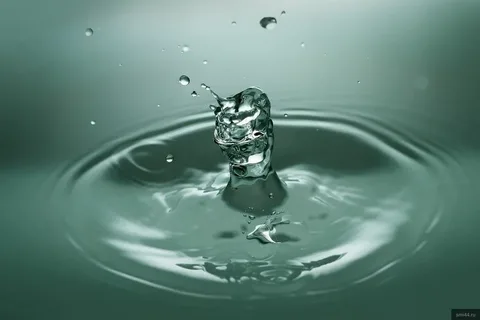 İnsan Sağlığı İçin Suyun Önemi